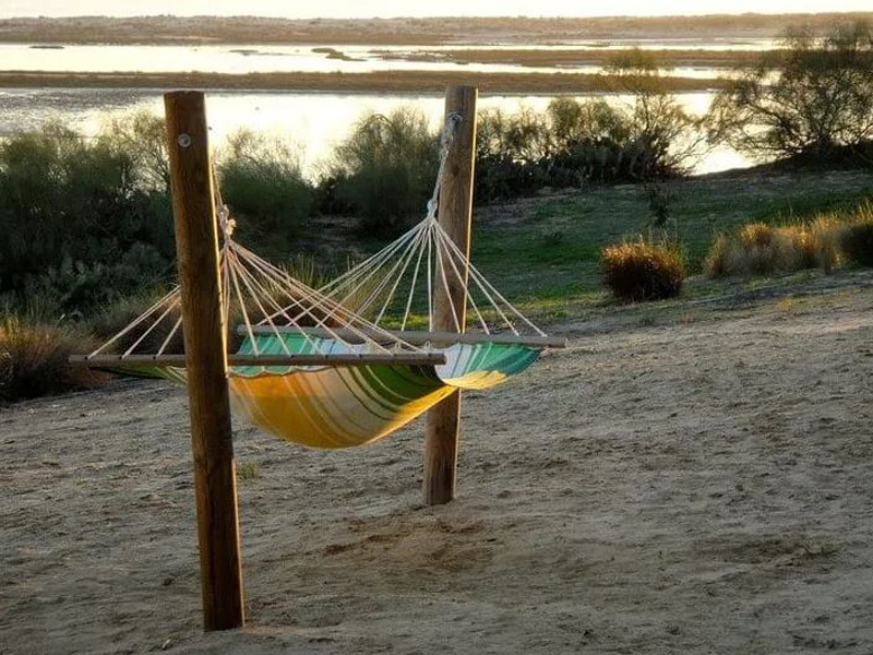 hammock on poles