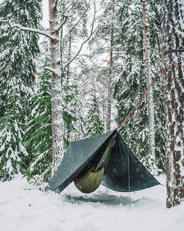 hammock,camping,in,winter,forest