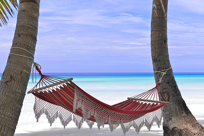 beach hammock